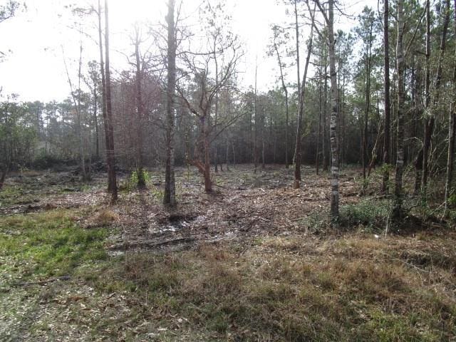 Rhonda Rd, Pearl River, LA 70452 - photo 2