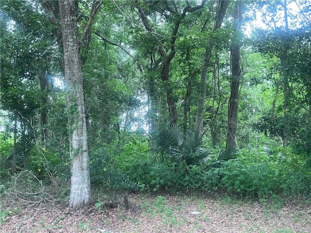 Jean Lafitte Blvd, Jean Lafitte, LA 70067