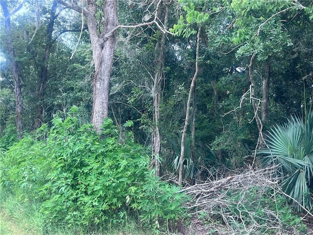 Jean Lafitte Blvd, Jean Lafitte, LA 70067