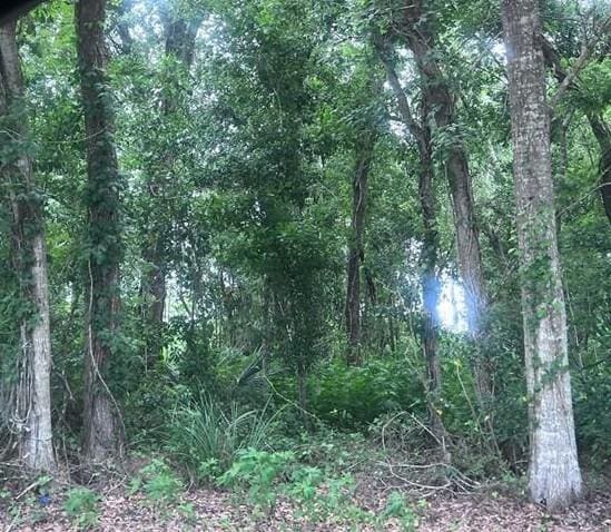 Jean Lafitte Blvd, Jean Lafitte, LA 70067