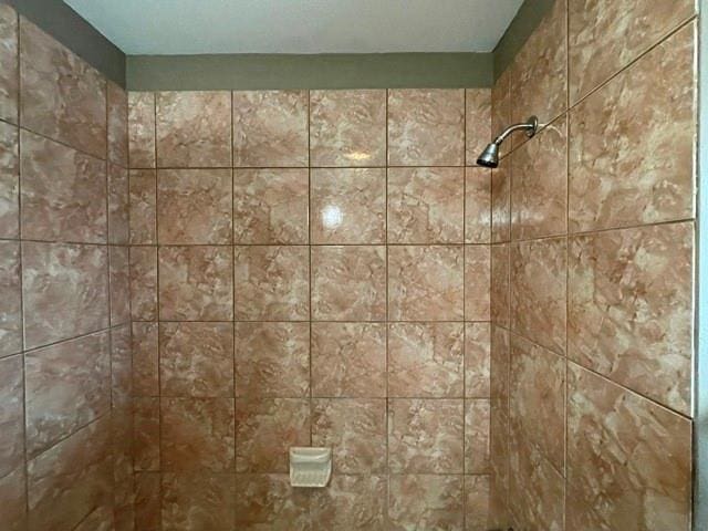 room details with tiled shower