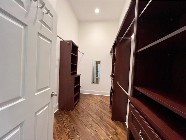 walk in closet featuring dark wood-type flooring