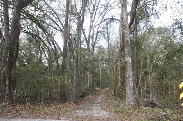 60277 Bryan Rd, Slidell LA, 70458 land for sale