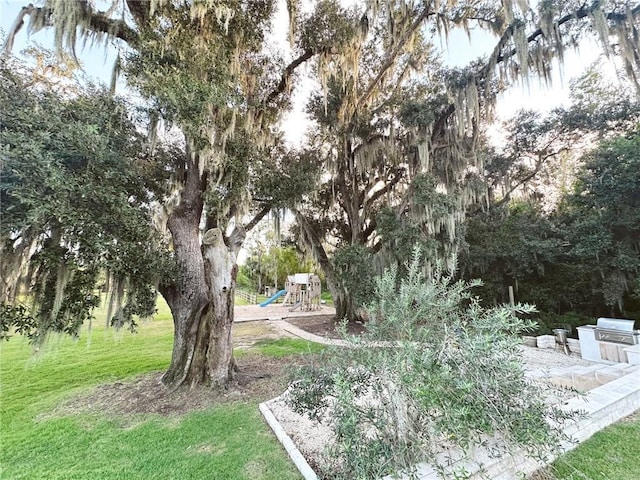 view of yard with a playground