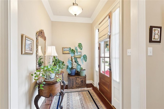 foyer with dark wood-type flooring and crown molding