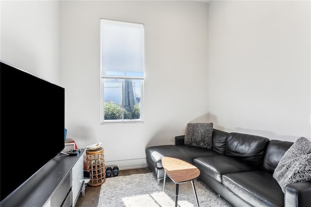 living room featuring hardwood / wood-style flooring