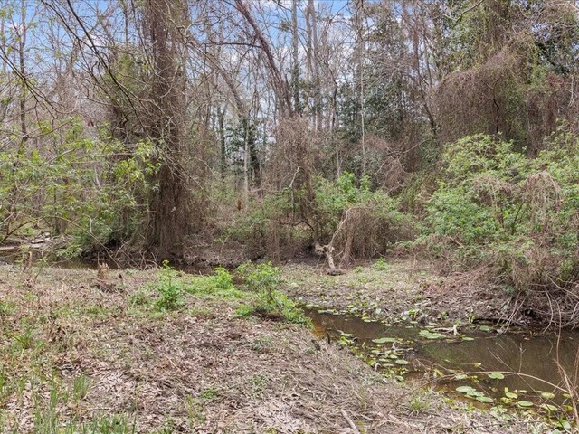 1220 Atalin St, Mandeville, LA 70448 - view of local wilderness