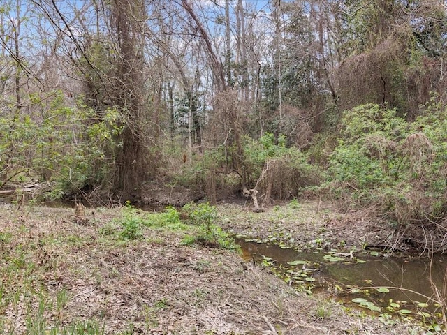 view of local wilderness featuring a water view