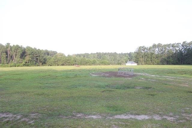 TW-1A2B Karli Ln, Albany, LA 70711