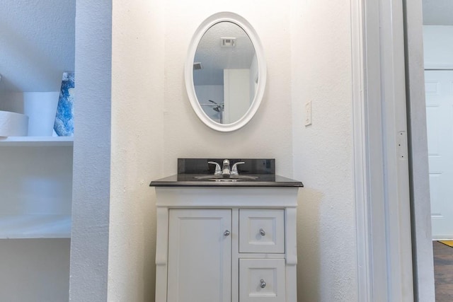 226062 N Roman St, New Orleans, LA 70117 - bathroom featuring a textured wall, vanity, and visible vents