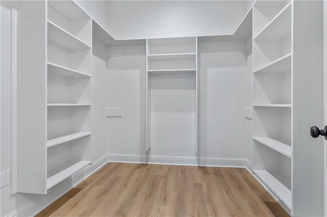 spacious closet featuring light wood finished floors