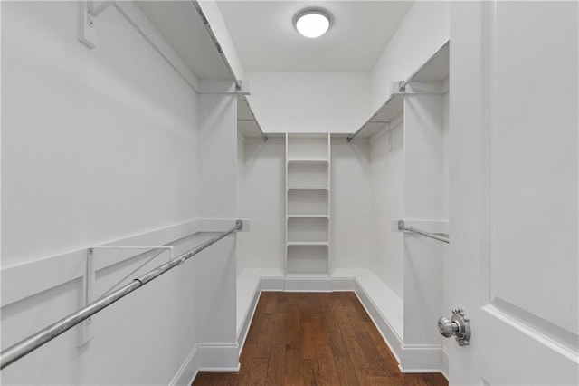 spacious closet featuring dark wood-type flooring