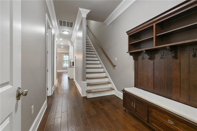 mudroom with baseboards, visible vents, dark wood finished floors, and ornamental molding