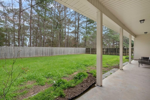 view of yard with a fenced backyard and a patio