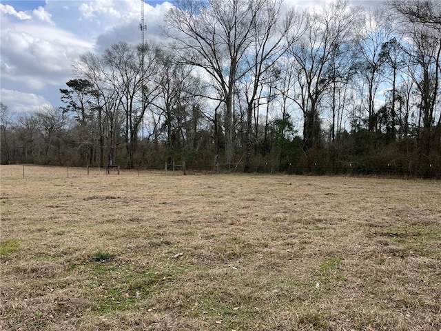 55660 Mashon Rd, Independence LA, 70443 land for sale