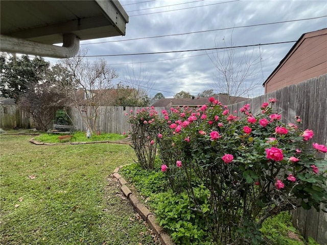 view of yard with a fenced backyard