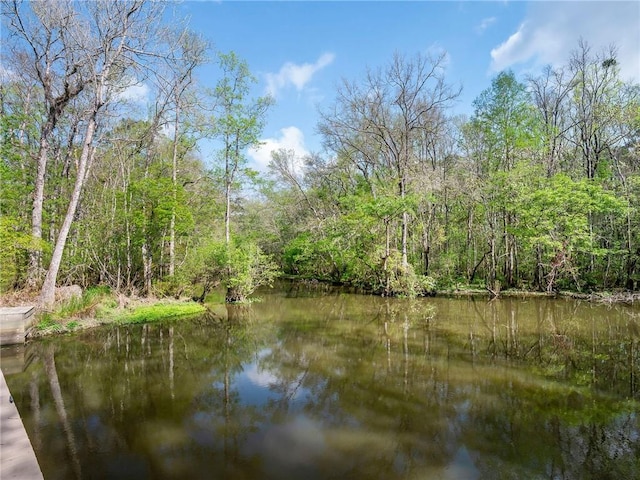 view of water feature featuring a wooded view