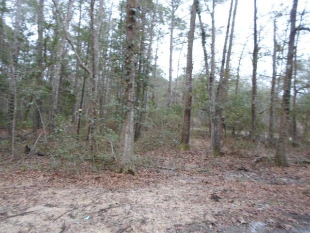 view of local wilderness with a wooded view