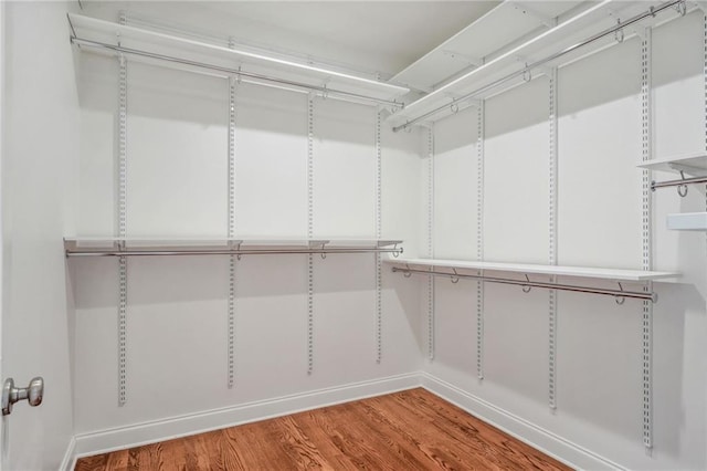 walk in closet featuring wood finished floors