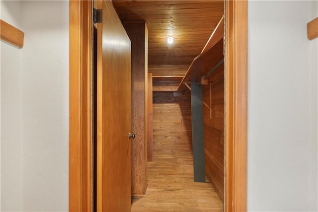 spacious closet featuring light wood finished floors