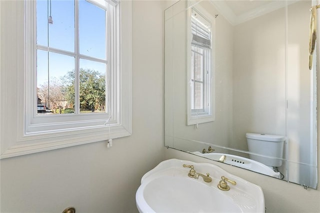 half bathroom with a sink, toilet, and crown molding