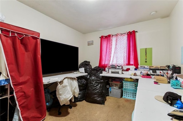 office area featuring carpet floors