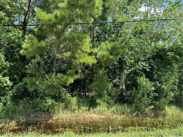 LOT68 Legendre Dr, Slidell, LA 70460 - photo 9