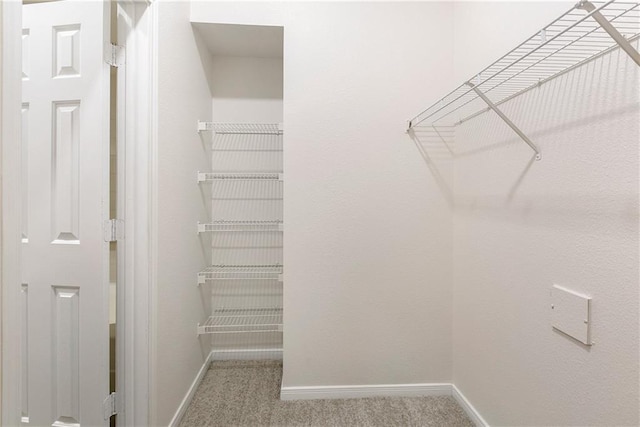 spacious closet featuring carpet flooring