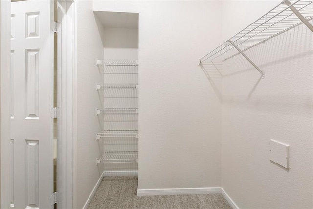 6765 Corporate Blvd Unit 2310, Baton Rouge, LA 70809 - spacious closet with carpet flooring