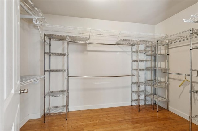 walk in closet featuring wood finished floors