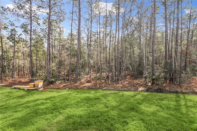 view of yard with a wooded view