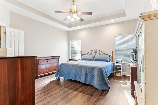 bedroom featuring dark wood-style floors, multiple windows, and a raised ceiling