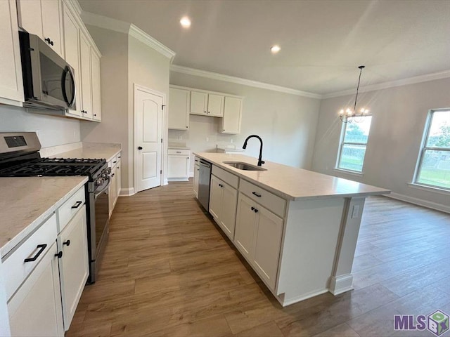 kitchen featuring stainless steel appliances, a sink, ornamental molding, a chandelier, and wood finished floors