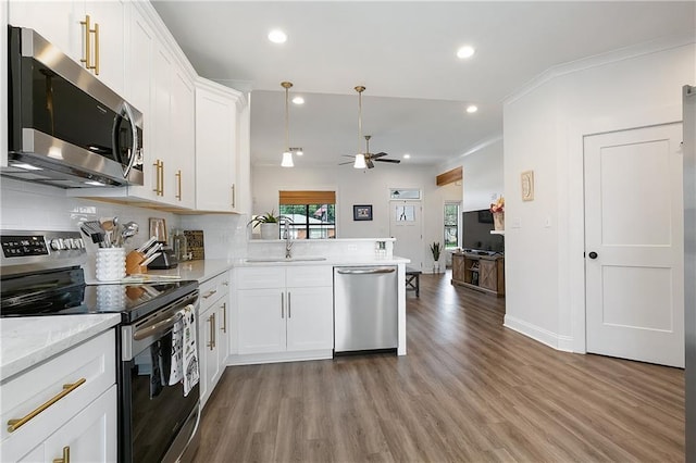 kitchen with stainless steel appliances, wood finished floors, a sink, white cabinetry, and decorative backsplash