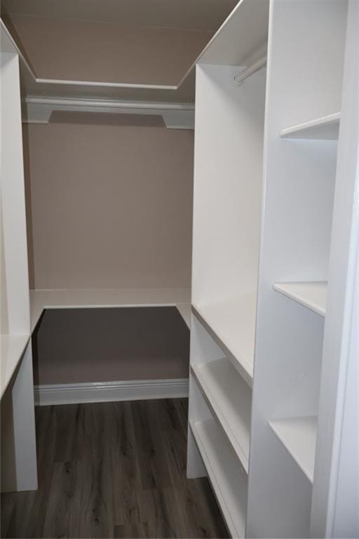 spacious closet with dark wood-type flooring