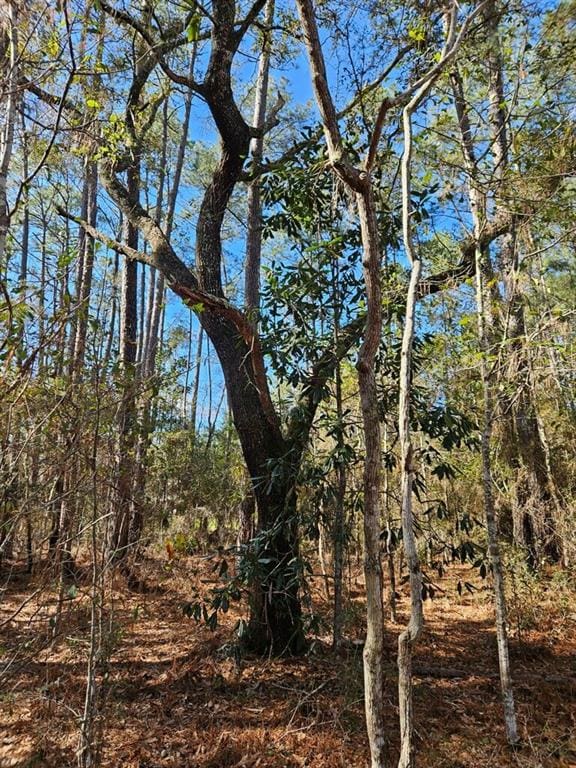 68042 S Strain Rd, Mandeville LA, 70471 land for sale