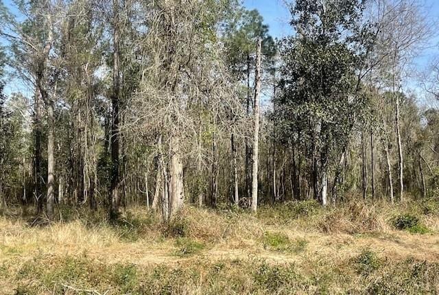 LOT306D 190th Hwy, Lacombe, LA 70445