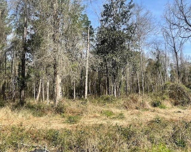 LOT306D 190th Hwy, Lacombe, LA 70445