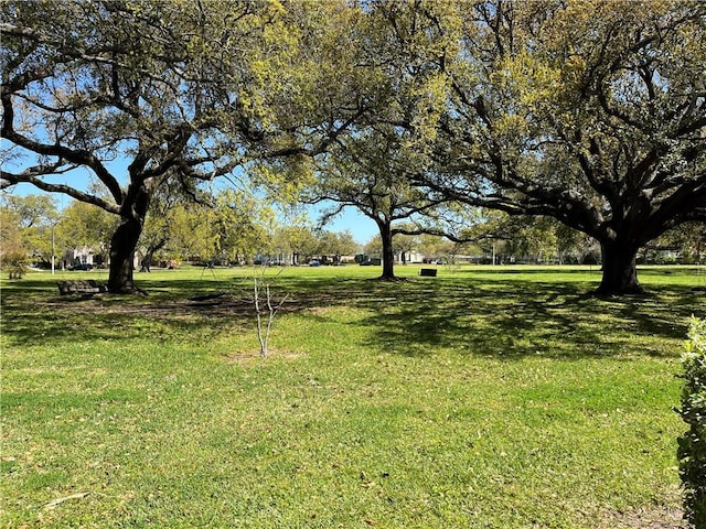 425 Turquoise St, New Orleans, LA 70124 - view of yard
