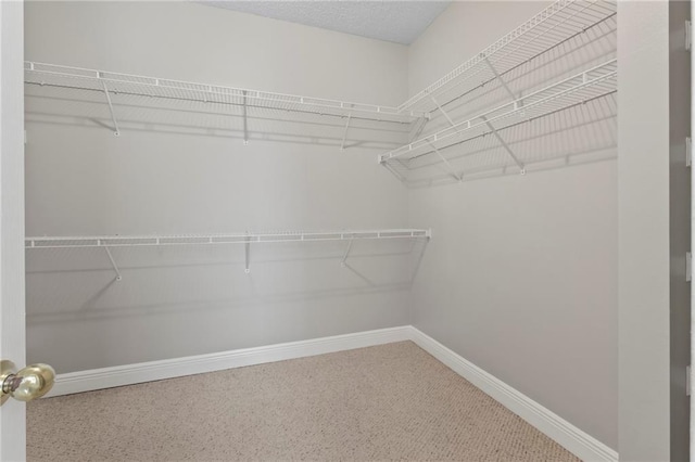 view of spacious closet