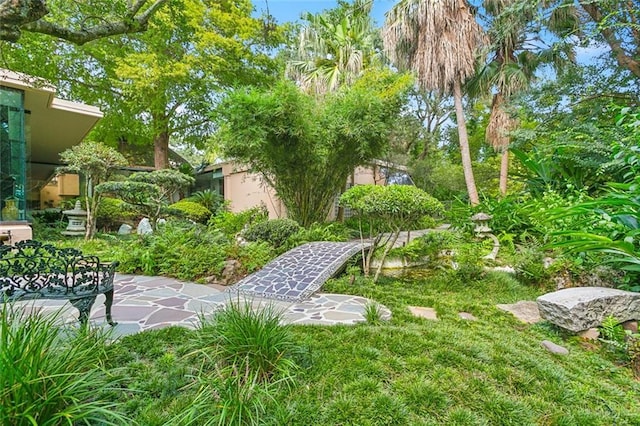 view of yard featuring a patio area