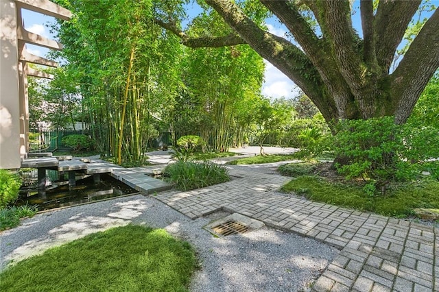 view of community with a patio