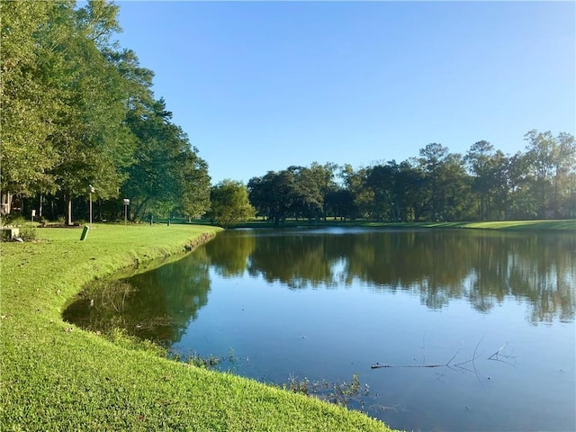 view of water feature