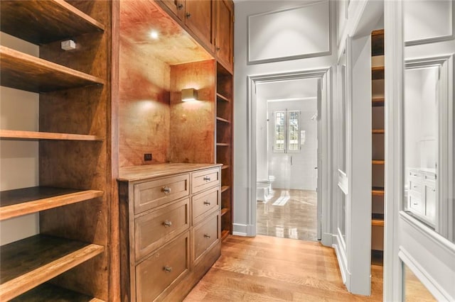 spacious closet with light wood-style flooring