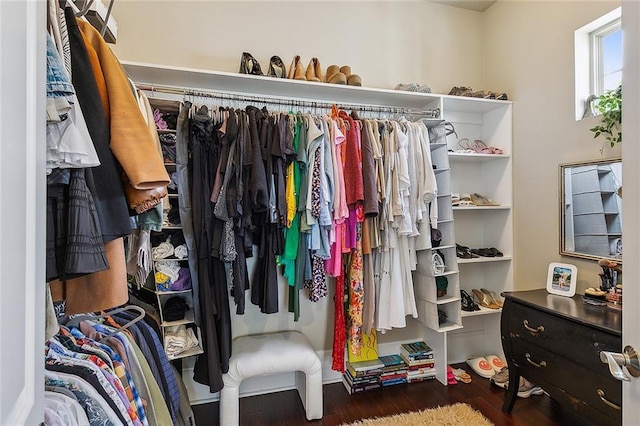 spacious closet featuring dark wood-style floors