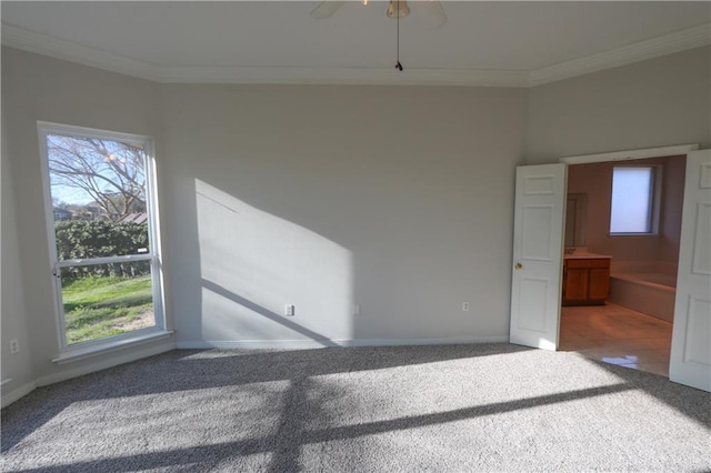 empty room featuring a healthy amount of sunlight, carpet, and ornamental molding