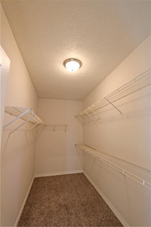 spacious closet featuring carpet floors