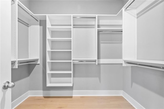 walk in closet featuring wood finished floors