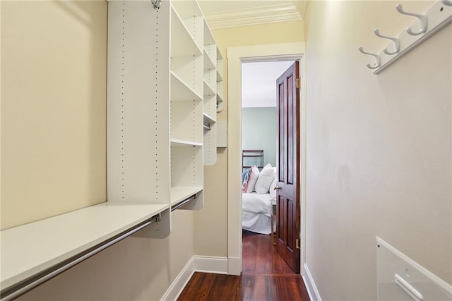 spacious closet with dark wood finished floors