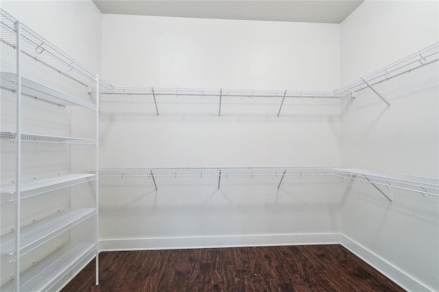 spacious closet featuring wood finished floors